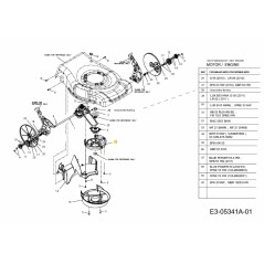 VAR. DEFLETTORE 731-06112A ORIGINALE MTD | NewgardenParts.com