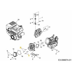 VITE M4-0.7X55 710-04965 ORIGINALE MTD | NewgardenParts.com