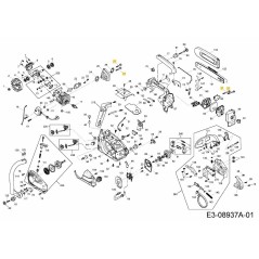 VITE M5X45 092.63.400 ORIGINALE MTD | NewgardenParts.com