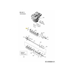 VIS 0010681 ORIGINALE MTD