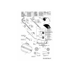 TORNILLO 22.3419.17 ORIGINAL MTD