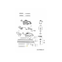 Schraube SG-2082451 ORIGINAL MTD | NewgardenParts.com