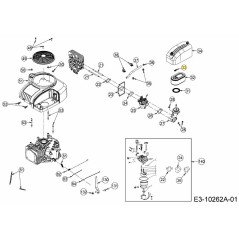 DADO AD ALETTE M6-1.0 751-15443 ORIGINALE MTD