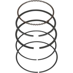 Piston Seal Kit 1310a-KC67-0100 | NewgardenParts.com