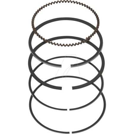 Piston Seal Kit 1310a-KC67-0100 | NewgardenParts.com