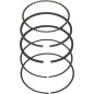 Piston Seal Kit 1310a-KC67-0100