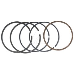 Kit de juntas de pistón MTD 161, 1P61 | NewgardenParts.com