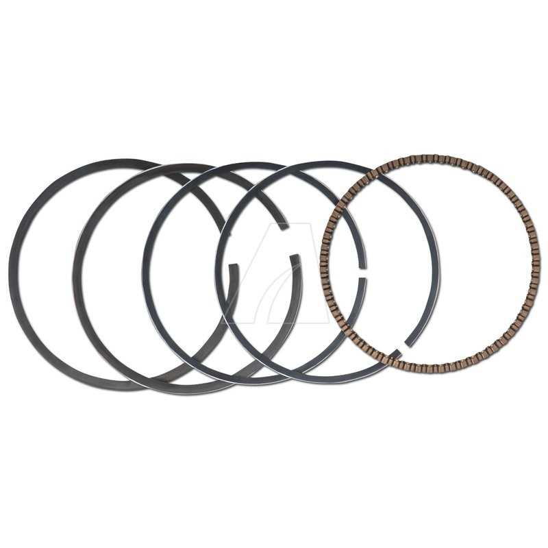 Kit de joints de piston MTD 161, 1P61