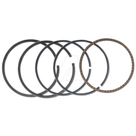 MTD 161, 1P61 Piston Seal Kit | NewgardenParts.com