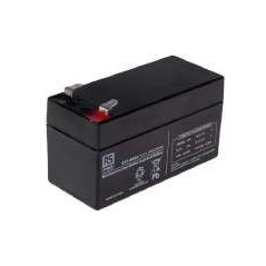 Pilas de 24V 24.6A (cada una) 6500031 ORIGINAL PERUZZO | NewgardenParts.com