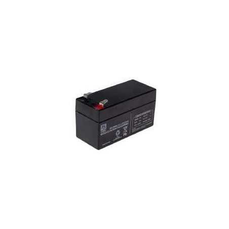Piles 24 V 24,6 A (à l'unité) 6500031 ORIGINAL PERUZZO | NewgardenParts.com