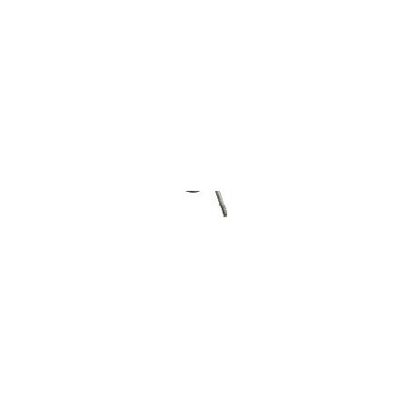 Springs for Spring Rake 50010009 ORIGINAL PERUZZO | NewgardenParts.com