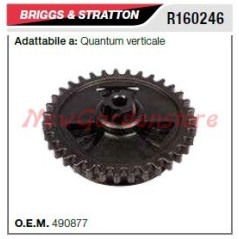 Puleggia avviamento B&S rasaerba tosaerba tagliaerba quantum verticale R160246 | NewgardenParts.com