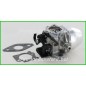 Vergaser Autochoke Rasentraktor BRIGGS&STRATTON 591852 ORIGINAL