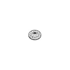 Starre Kupplungsscheibe 40282 FÜR FORD GG4 40282 004 | NewgardenParts.com