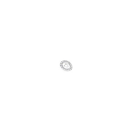 Starre Kupplungsscheibe 41304 FÜR GOLDONI 6.30.0082 GG4 41304 004 | NewgardenParts.com