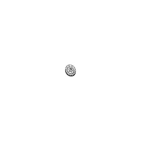 Starre Kupplungsscheibe 40262 FÜR DAVID BROWN 52755 GG4 40262 004 | NewgardenParts.com