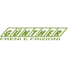 Mecanismo de embrague 50656 PARA RAPID GG5 50656 311 | NewgardenParts.com