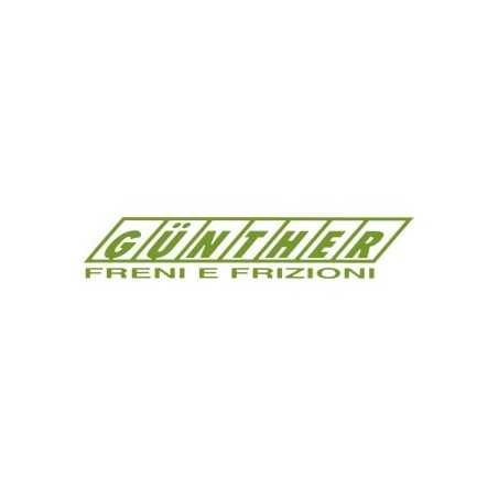 Kupplungsmechanismus 50656 FÜR RAPID GG5 50656 311 | NewgardenParts.com
