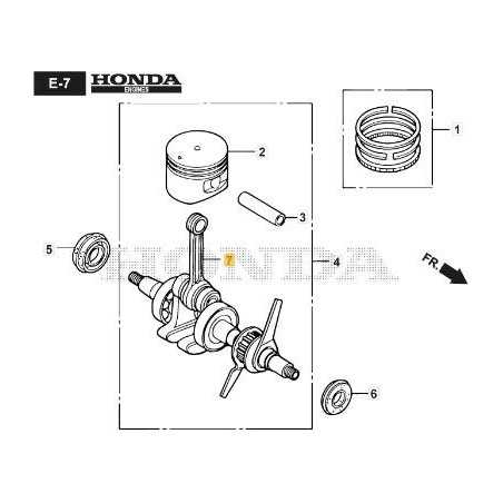 VILEBREQUIN ORIGINAL STIGA - 118551797/0 | NewgardenParts.com