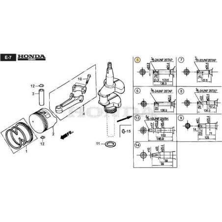 VILEBREQUIN ORIGINAL STIGA - 118551801/0 | NewgardenParts.com