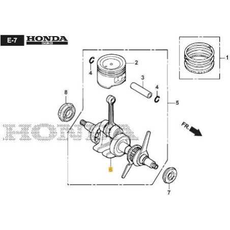 VILEBREQUIN ORIGINAL STIGA - 118551799/0 | NewgardenParts.com