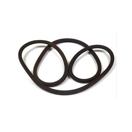 44" Deck Belt for LT200 Ride-On Mower, Genuine Briggs & Stratton 1732409SM | NewgardenParts.com