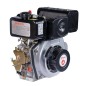 Motore completo diesel ZANETTI ZDM73L2V 246cc 3,3 kW albero orizzontale 19,05 mm