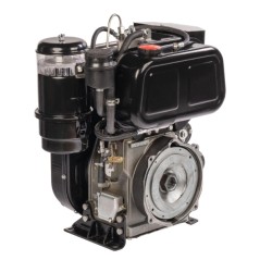 Complete diesel engine ZANETTI EV510DE 510cc 7.45 kW horizontal shaft 24 mm | NewgardenParts.com