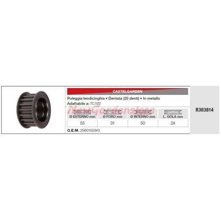 Polea tensora CASTELGARDEN pequeño tractor cortacésped segadora TC102 R303814 | NewgardenParts.com