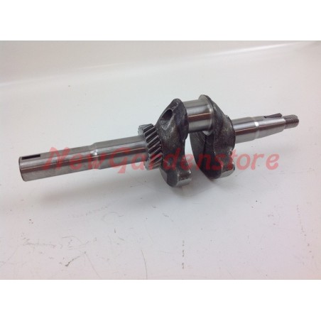 Albero motore LONCIN motore rasaerba tosaerba LC1P70FA 007817 | NewgardenParts.com