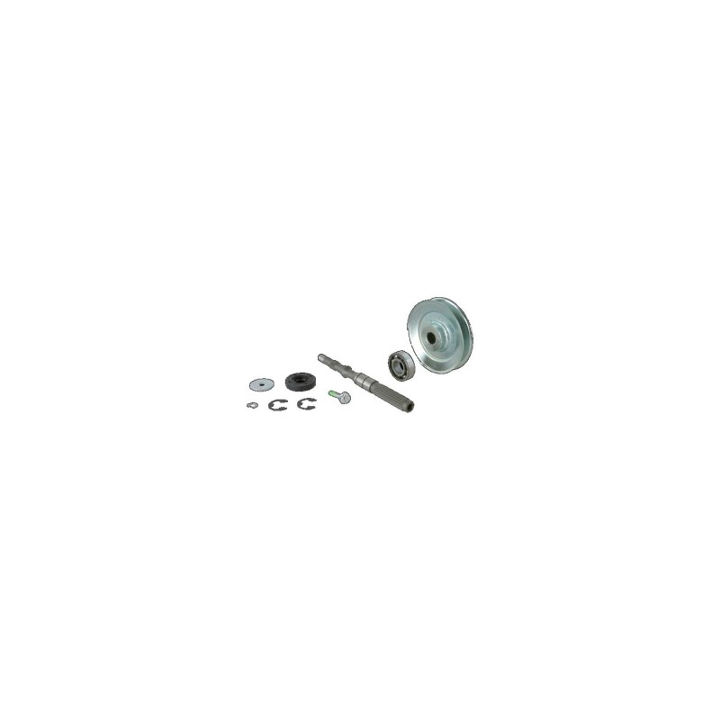 28488 KIT SHAFT+GUARN+CUSC.MBHE ex28579 8550039 ORIGINAL ETESIA