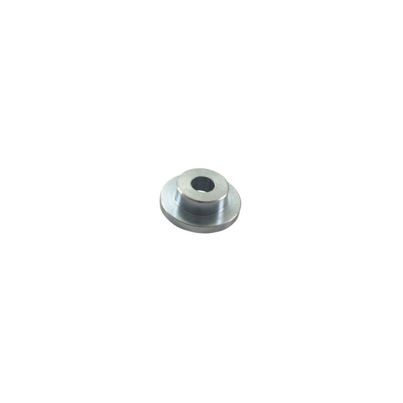 28238 SPECIAL WASHER FOR BAHIA BLADE 8550005 ORIGINAL ETESIA