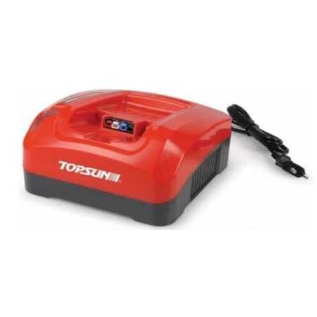 Chargeur de batterie 36V TOPSUN | NewgardenParts.com
