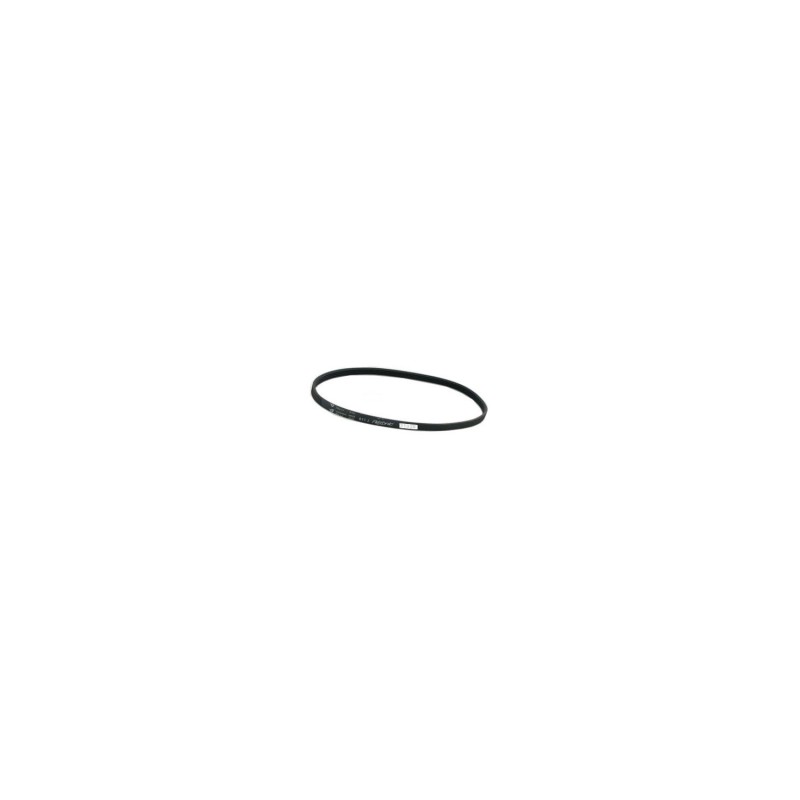 31038 CINGHIA BLHP, BLSP, BPHP 611PJ 8550440 ORIGINALE ETESIA