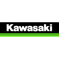 Ricambi ORIGINALI KAWASAKI motore TJ27 TJ35 TJ45 TJ53 TH26 TH34 TH43 TH48