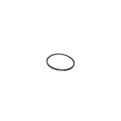 770396X CINGHIA PIAT-VENT. SPR-Z 60 B-41 8430115 ORIGINALE HUSTLER | NewgardenParts.com