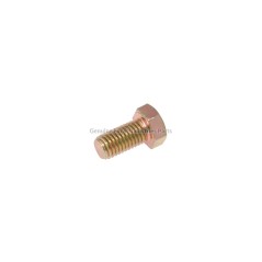 064006 VIS DE CARTER CS0.312-18x0.625HXG5 8430272 HUSTLER D'ORIGINE | NewgardenParts.com