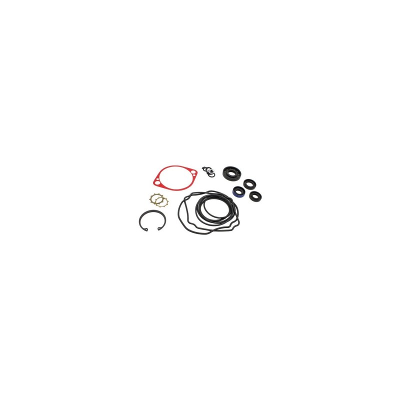 780718 PG/PJ642 KIT DE RÉPARATION DE POMPE *70525 8430447 HUSTLER ORIGINAL