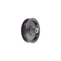Poulie de tableau de bord RPTR 604219 *usa 126123 8430582 Original Hustler | NewgardenParts.com