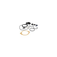 784983 BDP21 KIT DE RÉPARATION DE POMPES *2510073 8430444 HUSTLER ORIGINAL | NewgardenParts.com