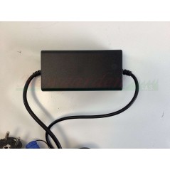 Chargeur de batterie Ambrogio L60 ELITE : C02412 | NewgardenParts.com