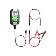 Caricabatterie FULLOAD 1000 Charger 1A trattorino rasaerba tagliaerba tosaerba | NewgardenParts.com