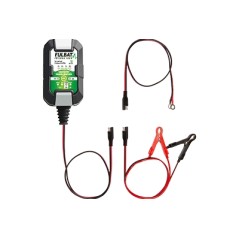 FULLOAD 1000 Chargeur 1A tracteur de pelouse tondeuse tondeuse tondeuse | NewgardenParts.com