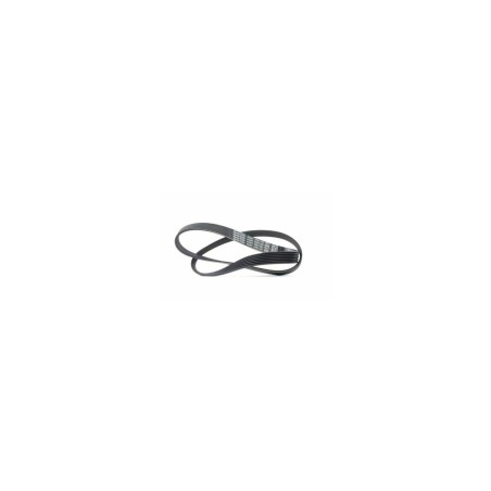 792267 CORREA POLI-V BOMBAS Z-D PVK8 RIB 8430074 ORIGINAL HUSTLER | NewgardenParts.com