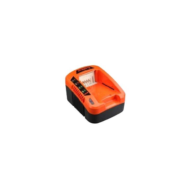 Chargeur rapide AMA 40V temps de charge de la batterie 30min (2Ah) 60min (4Ah)