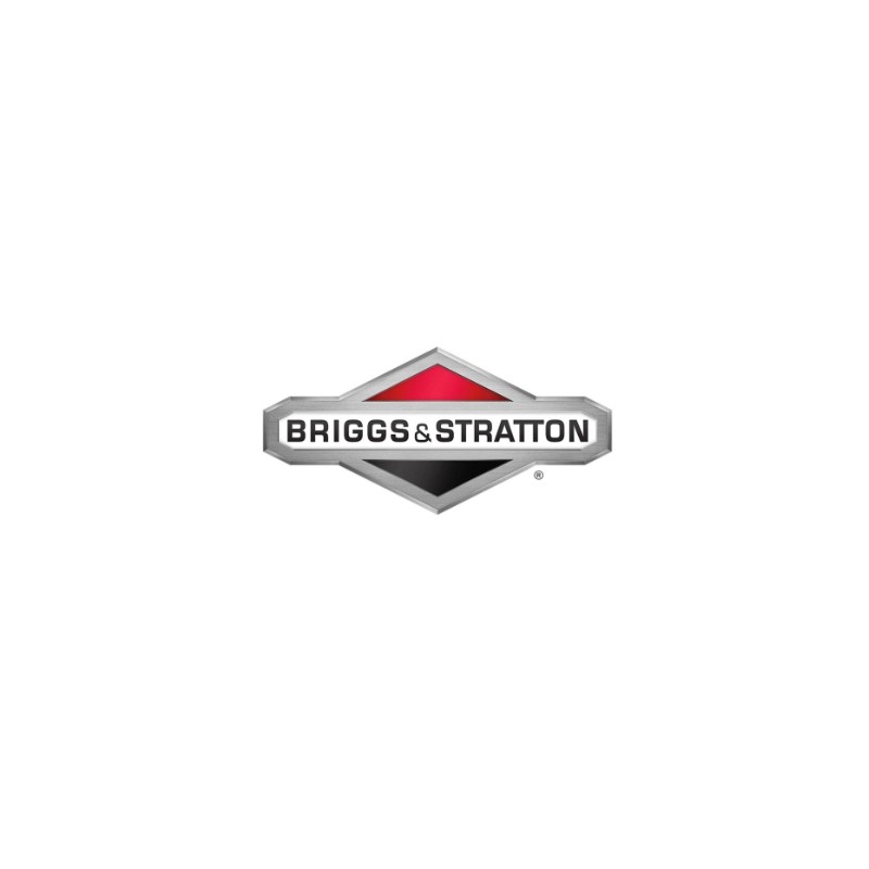 Albero motore ORIGINALE BRIGGS & STRATTON 597419