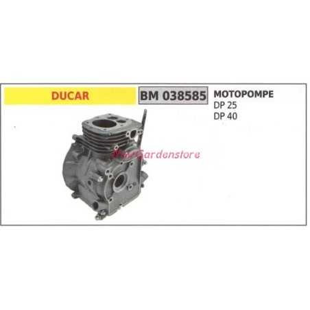 Kurbelwelle DUCAR-Motor Motorpumpe DP 25 40 038585 | NewgardenParts.com