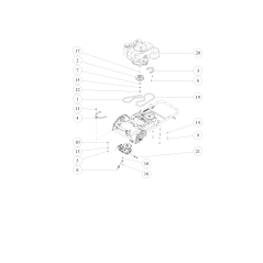 Cinghia trapezoidale SB-32 (W800) O89-6123-003202 ORIGINALE OREC | NewgardenParts.com