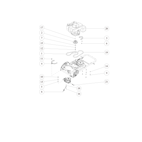 Courroie trapézoïdale OREG SB-32 (W800) d'origine O89-6123-003202 | NewgardenParts.com